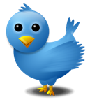twitter bird